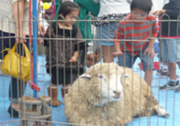 移動乗馬 移動動物園イメージ